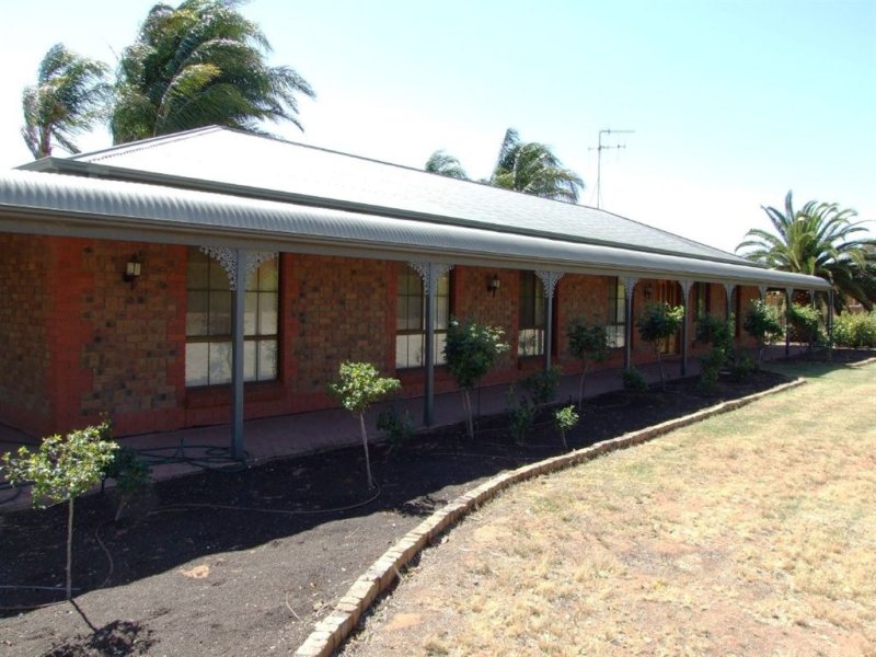 17267 Sturt Highway, Barmera, SA 5345 Property Details