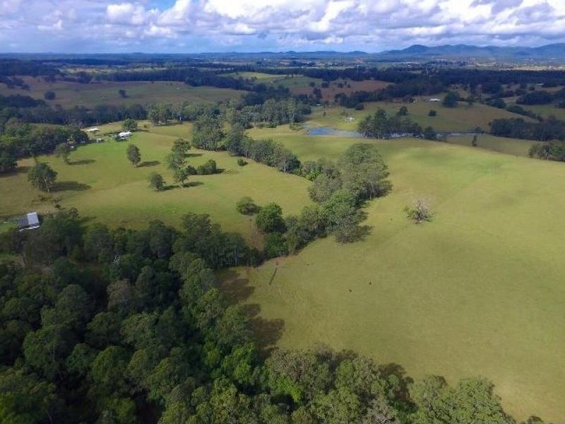 421 Bellangry Road, Mortons Creek, NSW 2446