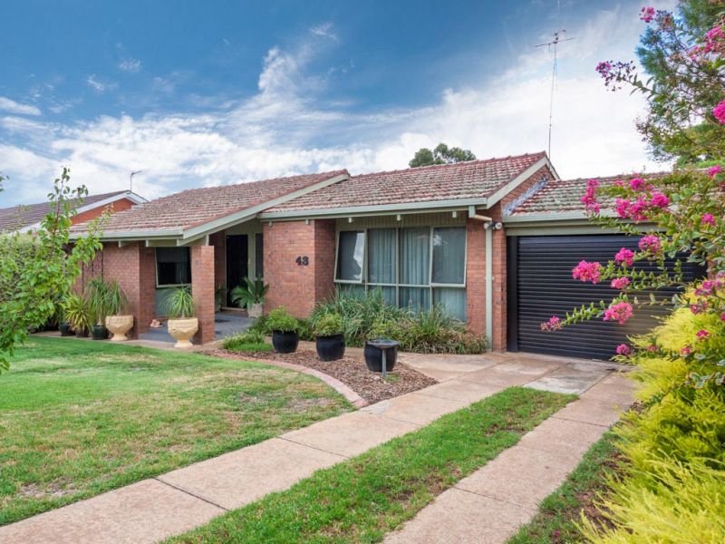43 Alexander Street, Ashmont, NSW 2650 Property Details