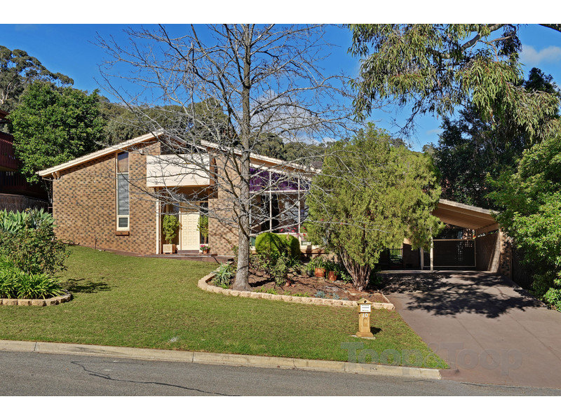 10 Willowood Drive, Urrbrae, SA 5064 Property Details