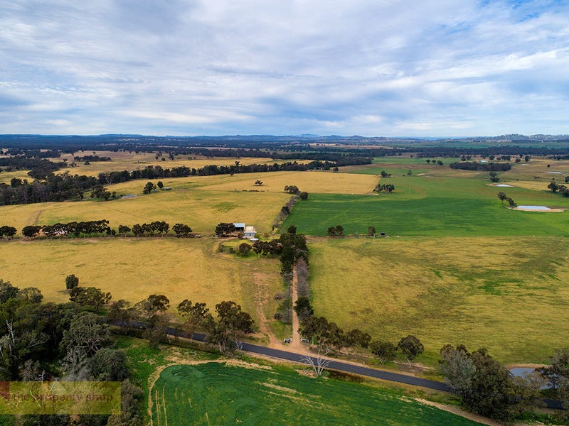436 Spring Creek Road, Gulgong, NSW 2852 Property Details