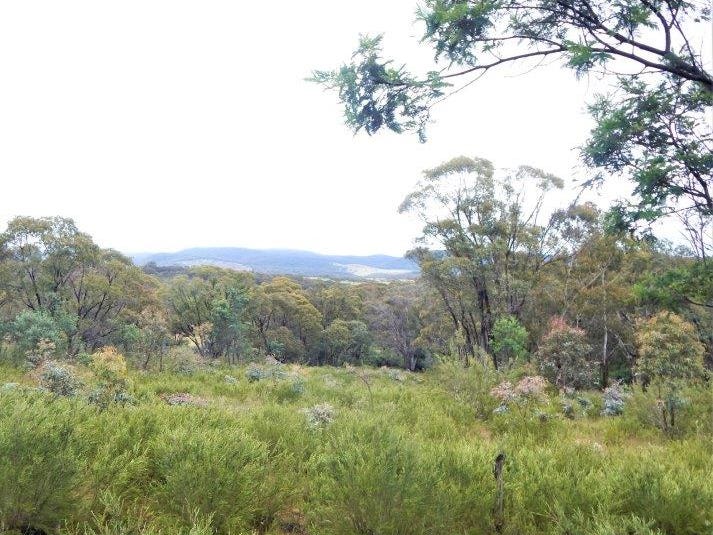 Lot 147, Tredegar Road, Bombala, NSW 2632 Other for Sale realestate