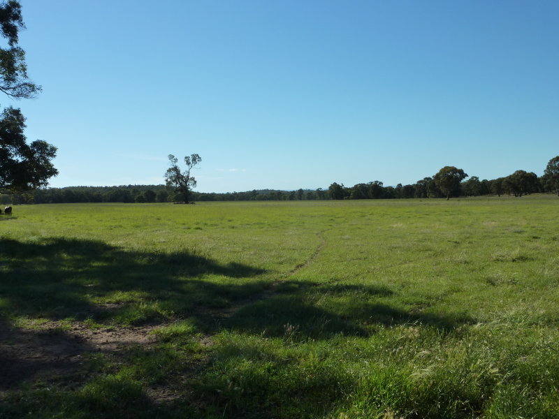 Property 7659979, Purlewaugh, NSW 2357 - Property Details