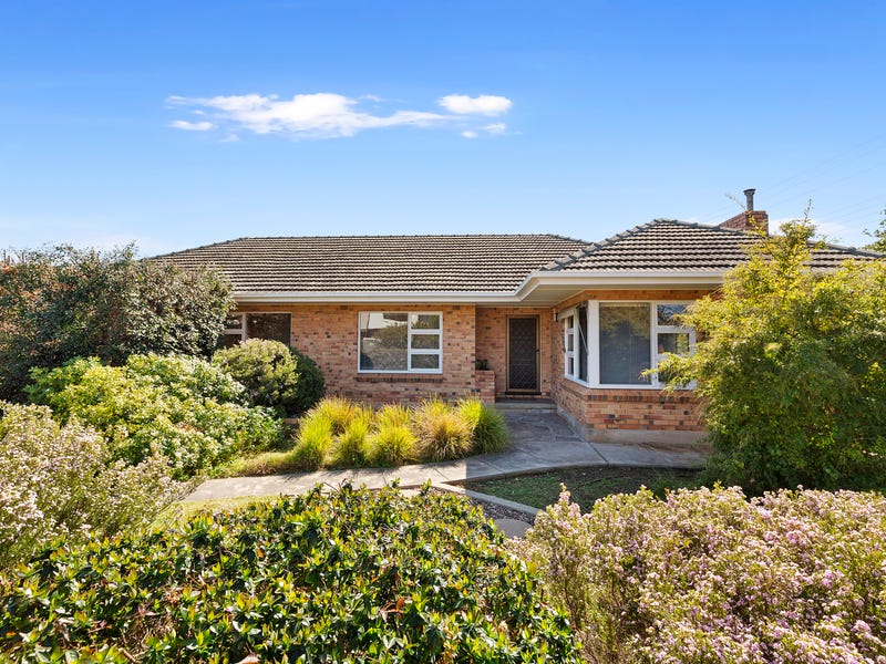 11 Oliphant Avenue, Oaklands Park, SA 5046