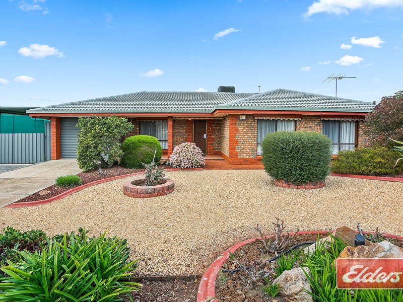 12 Holness Avenue, Gawler East, SA 5118