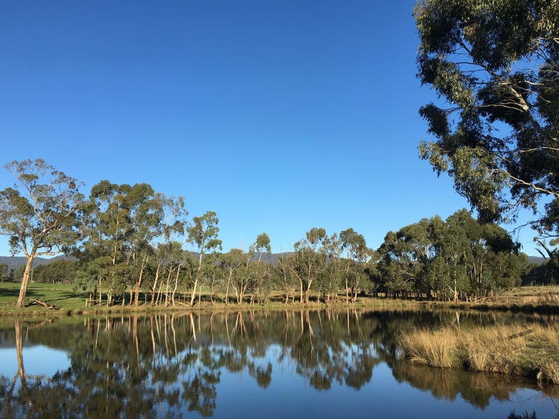 Lot 4, 246 Two Hills Road, Glenburn, Vic 3717 Property Details