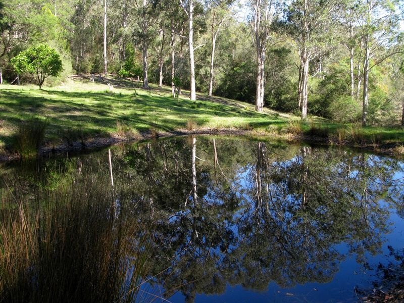 689 Runnyford Road, Nelligen, NSW 2536