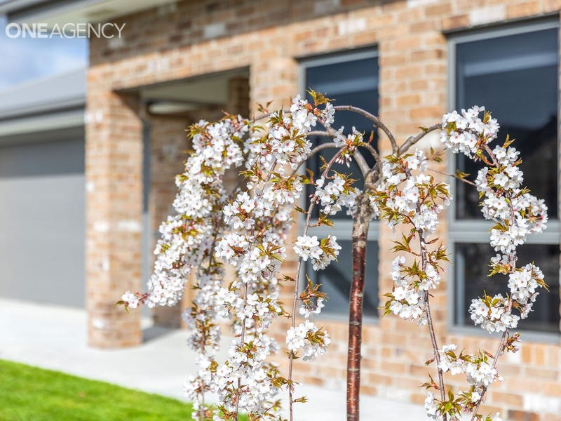 Real Estate & Property for Sale in Burnie Greater Region, TAS (+3 locations) Pg. 20