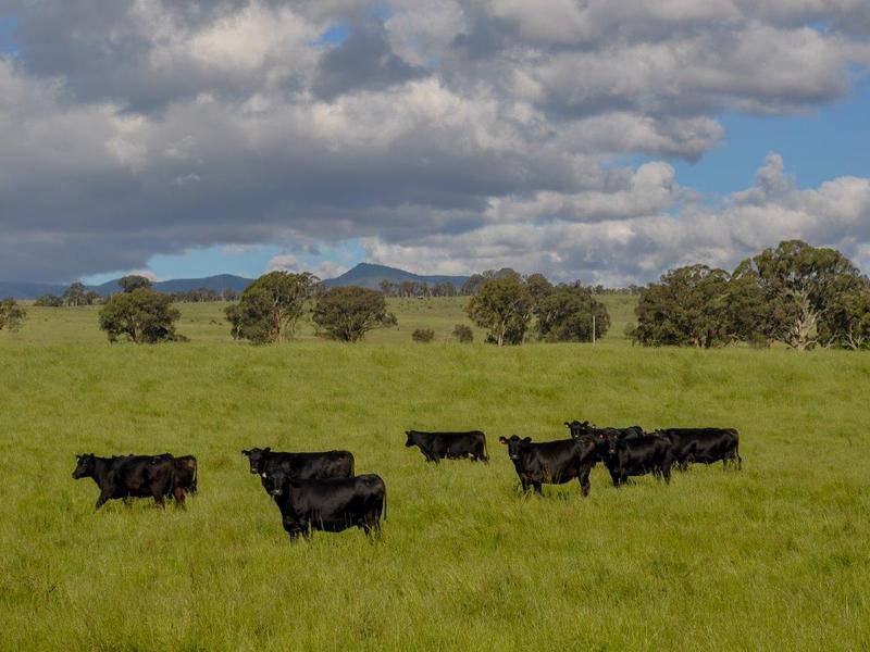 120 School Lane, Merrijig, VIC 3723