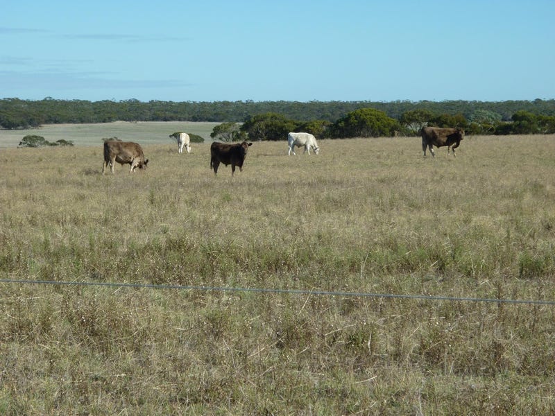 1799 Boxwood Hillongerup Road, Boxwood Hill, WA 6338