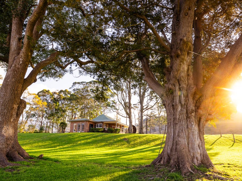 104 Wyalla Road, Jamberoo, NSW 2533 - Lifestyle for Sale - realestate ...