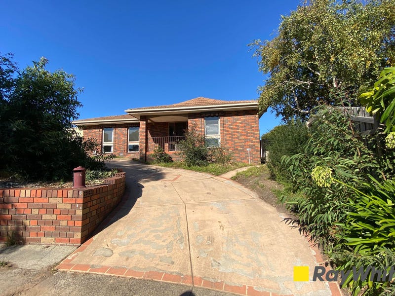 Rental Properties and Real Estate in Endeavour Hills, VIC 3802