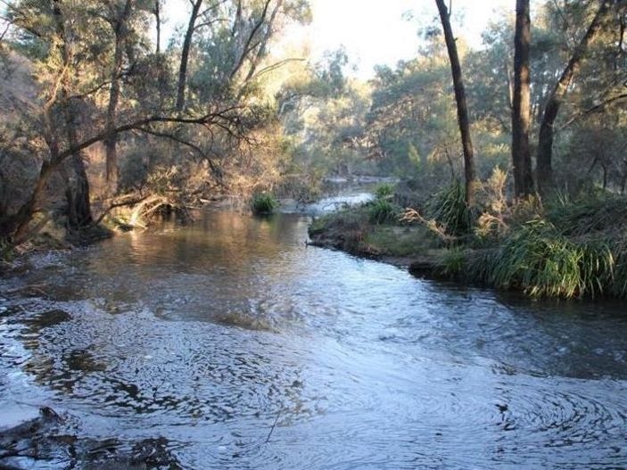 Lot 48 Stone Lane, Mole River, NSW 2372 Other for Sale realestate