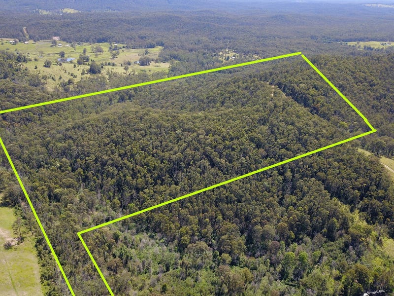 460 Pipeclay Creek Road, Nabiac, NSW 2312 Lifestyle for Sale