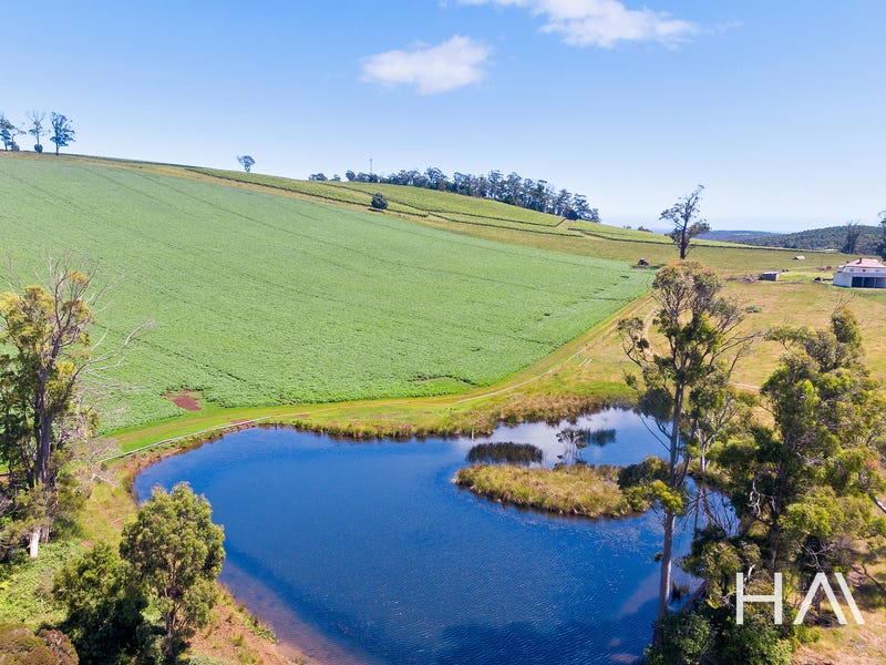 1311 Pipers Brook Road, Pipers Brook, TAS 7254