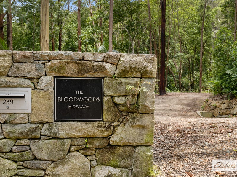 239 Smiths Creek Road, Smiths Creek, NSW 2484