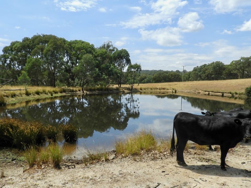 903 Mulgowrie Road, Binda, NSW 2583 Property Details