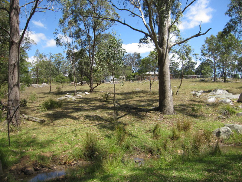 356 Pierces Creek Road, Crows Nest, QLD 4355