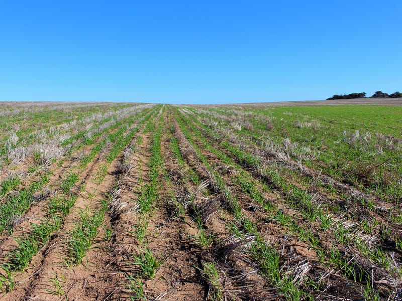 Allotment 37 No. 6 Bore Road North, Murrayville, Vic 3512 Property