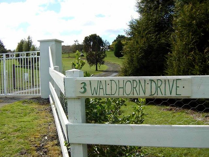 3 Waldhorn Drive, Grindelwald, TAS 7277