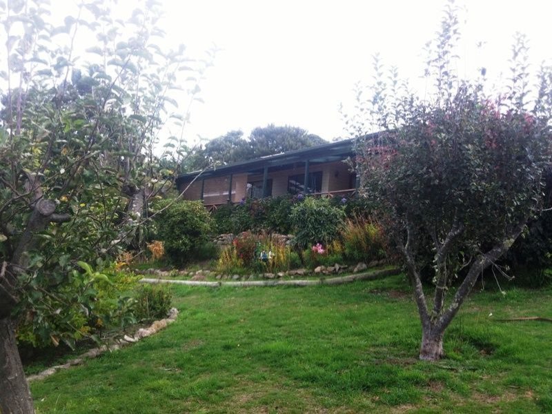 239 Lottah Road, Goulds Country, TAS 7216