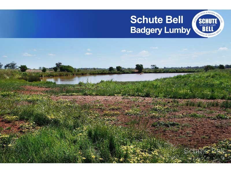 Real Estate & Property for Sale in Narromine, NSW 2821 Pg. 2