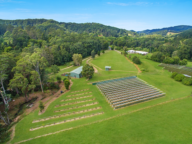 37 WALLAROO DRIVE, Burringbar, NSW 2483 Property Details