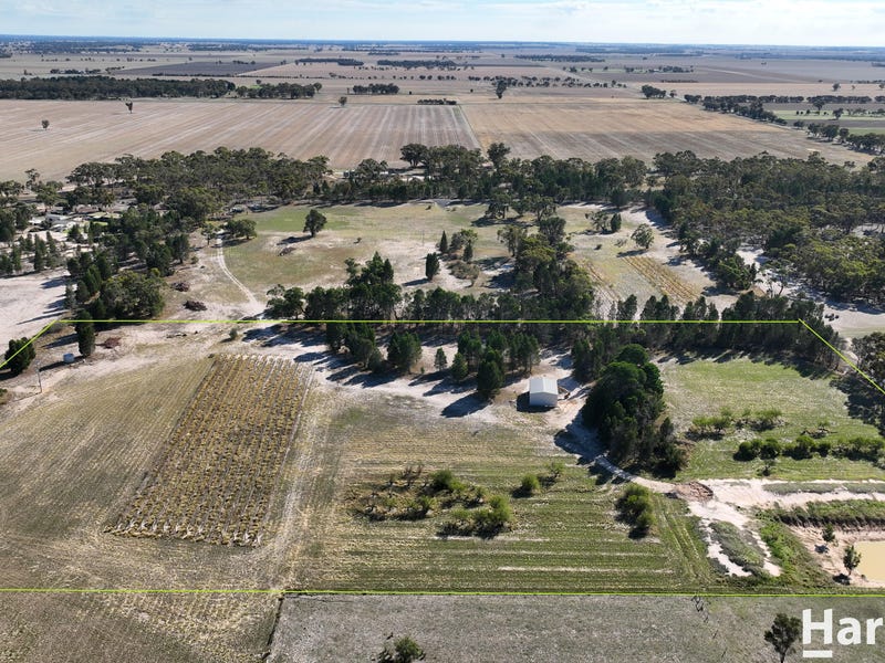 Real Estate & Property for Sale in Horsham, VIC 3400 Pg. 10