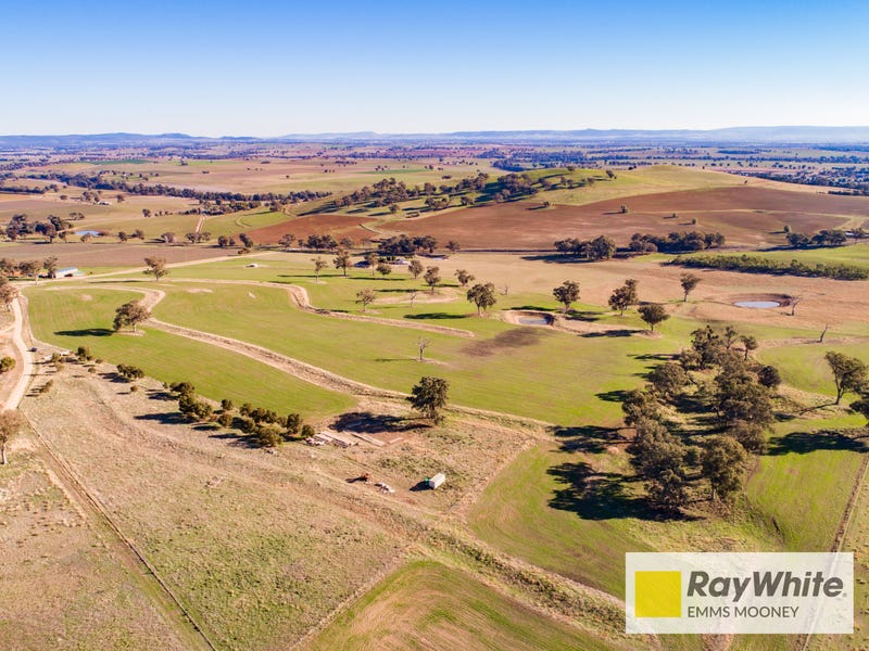 855B Darbys Falls Road, Cowra, NSW 2794 Property Details