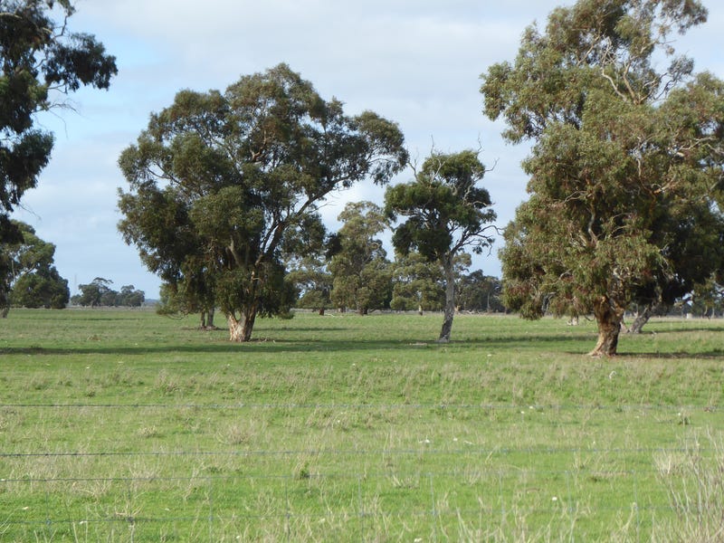 650 Prosser Road, Tintinara, SA 5266 Cropping for Sale realestate