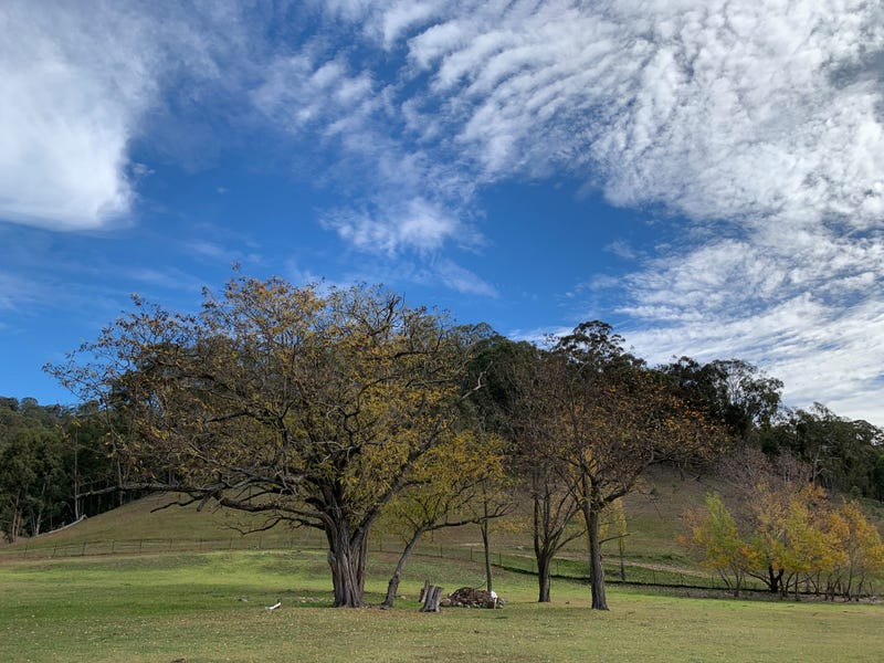 952 Scotts Creek Road, Scotts Creek, NSW 2338