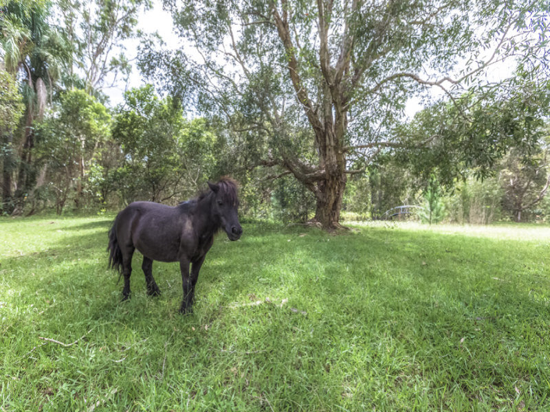 26 Jirrima Crescent, Cooroibah, Qld 4565 Property Details