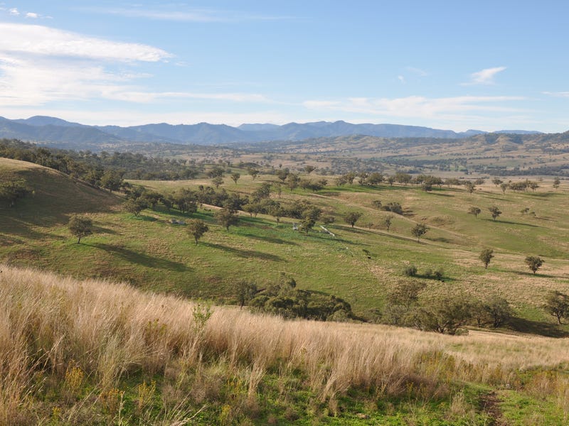 Rural properties for Sale in Scone, NSW 2337