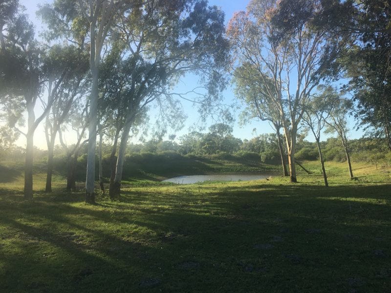 167 Vass Road, Etna Creek, QLD 4702