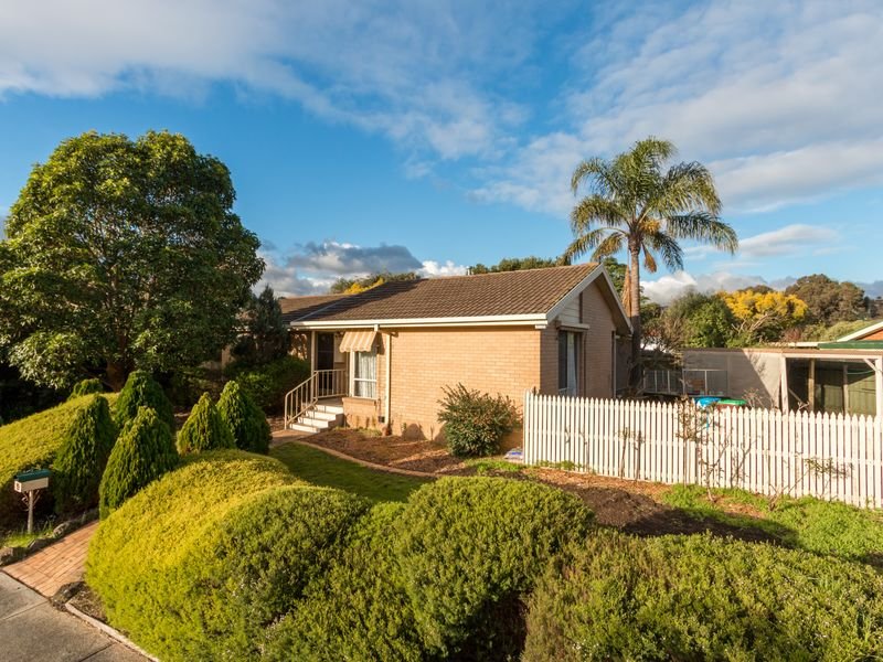 19 Amalfi Drive, Endeavour Hills, VIC 3802