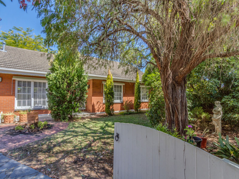 53 Harris Road, Vale Park, SA 5081