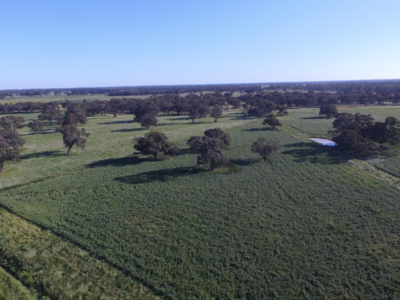 8500 Murray Valley Hwy Echuca Vic 3564 Mixed Farming for Sale