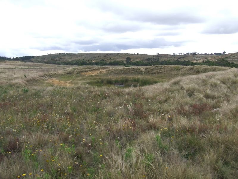 310 Spa Road, Windellama, NSW 2580