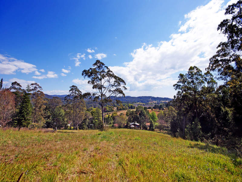 44 East Bank Road, Coramba, NSW 2450