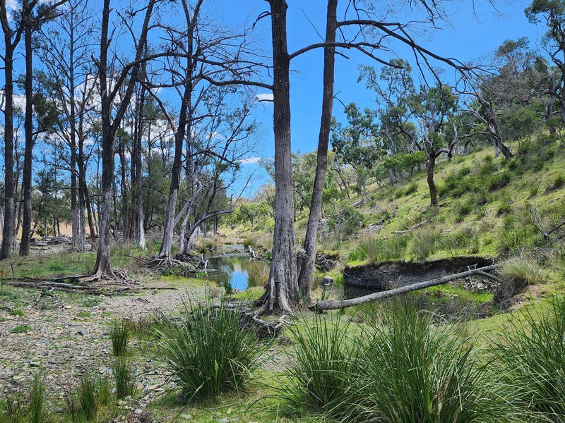 Mackenzie Innes Real Estate & Property for Sale in Tenterfield, NSW 2372 (+2 locations ...