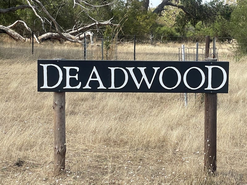 "Deadwood" Baxters Hill Road Reedy Creek, Robe, SA 5276 Livestock for