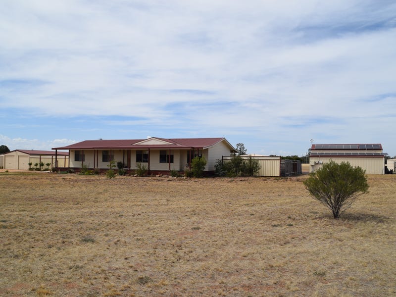 Jacaranda Flats, 5940 Newell Highway, Gilgandra, NSW 2827 Property