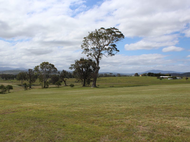 12 Newlyns Place, Frogs Hollow, NSW 2550