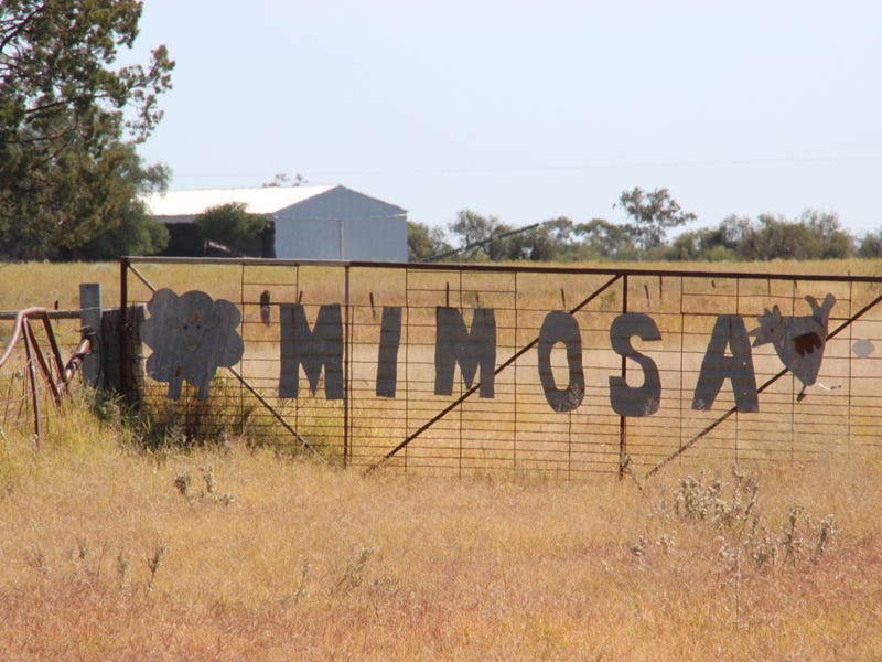 Real Estate & Property for Sale in Coonamble, NSW 2829