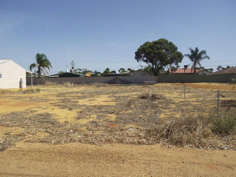 11 Glyde Street, Three Springs, WA 6519