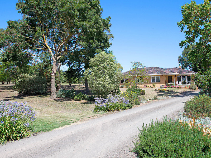 64 Marriner Street, Colac East, VIC 3250