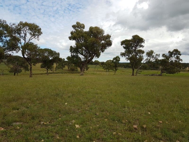 406 Bezzants Road, Deepwater, NSW 2371