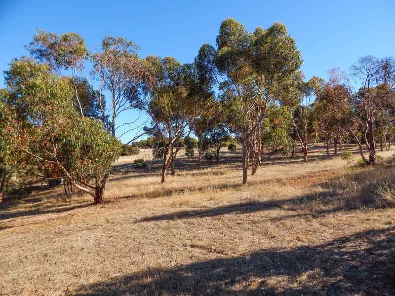 4751 Shearwater Drive, Tiatukia, SA 5607