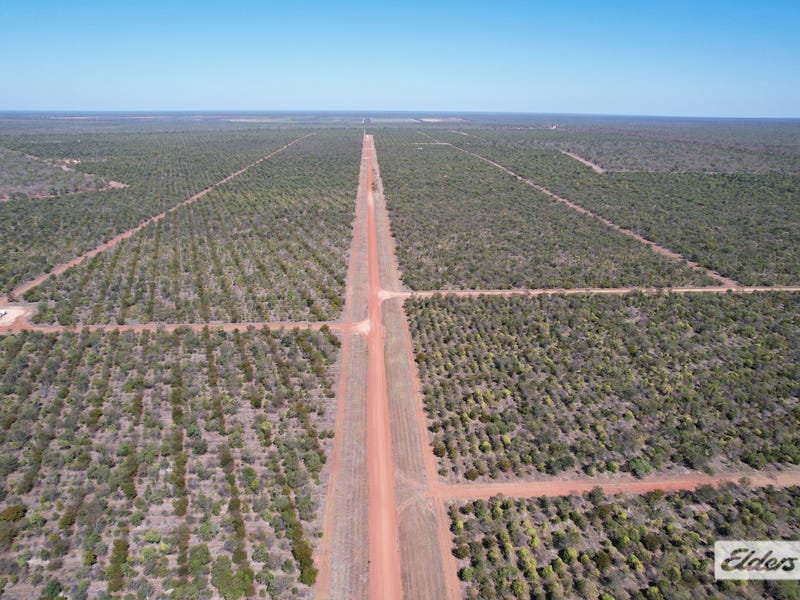 120 Homestead Road, Mataranka, NT 0852 Property Details