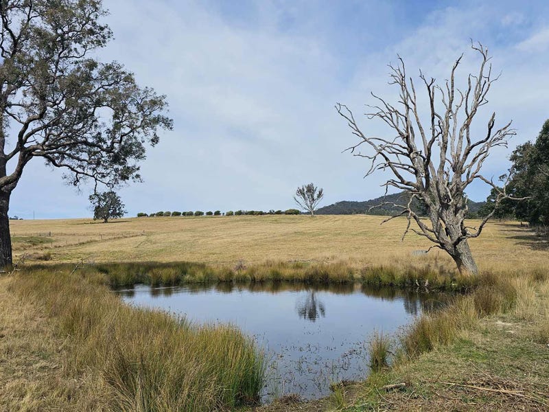 Lot 13 DP1102840 Slaters Lane, Candelo, NSW 2550 Residential Land for Sale